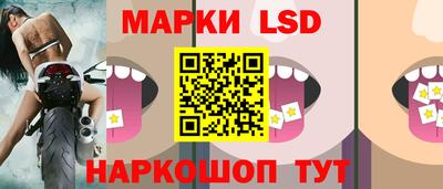 твердый Бийск