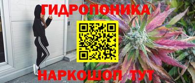 бутират Берёзовский