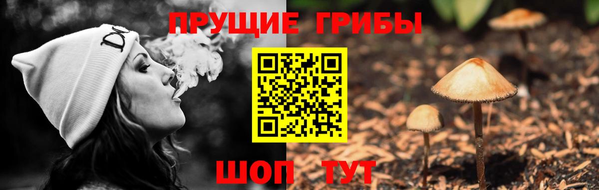 Псилоцибиновые грибы Magic Shrooms  Вход с VPN  Галлюциногенные грибы Cubensis  Зеленогорск 